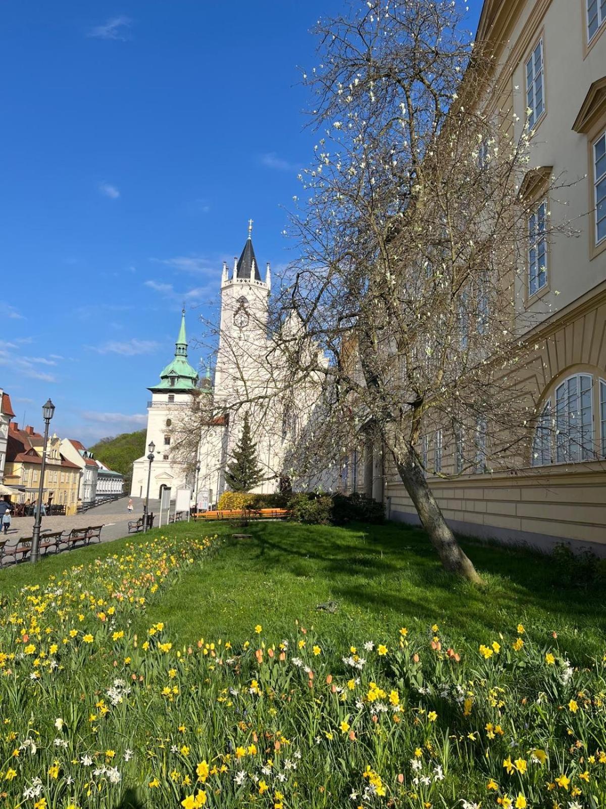Vila Adela - Teplice Exterior photo